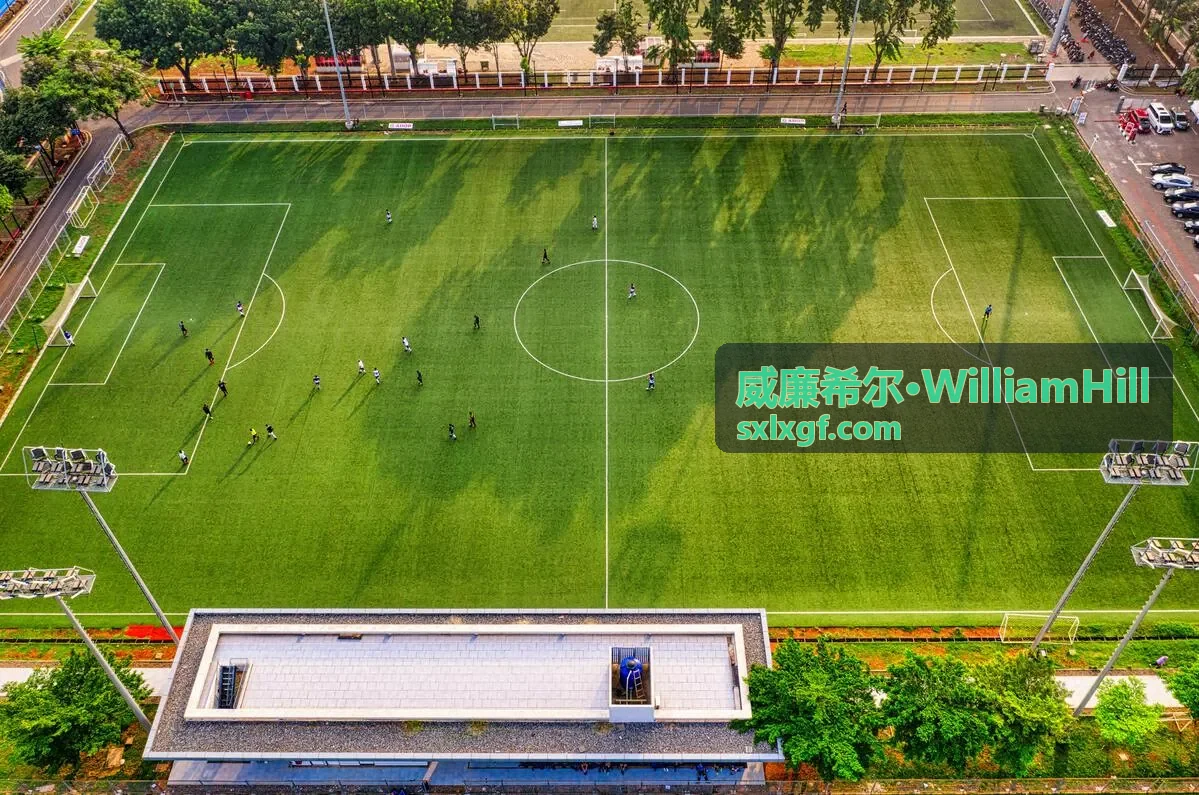 威廉希尔足球竞猜专区